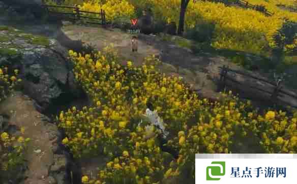 《逆水寒手游》缉鸡记奇遇攻略