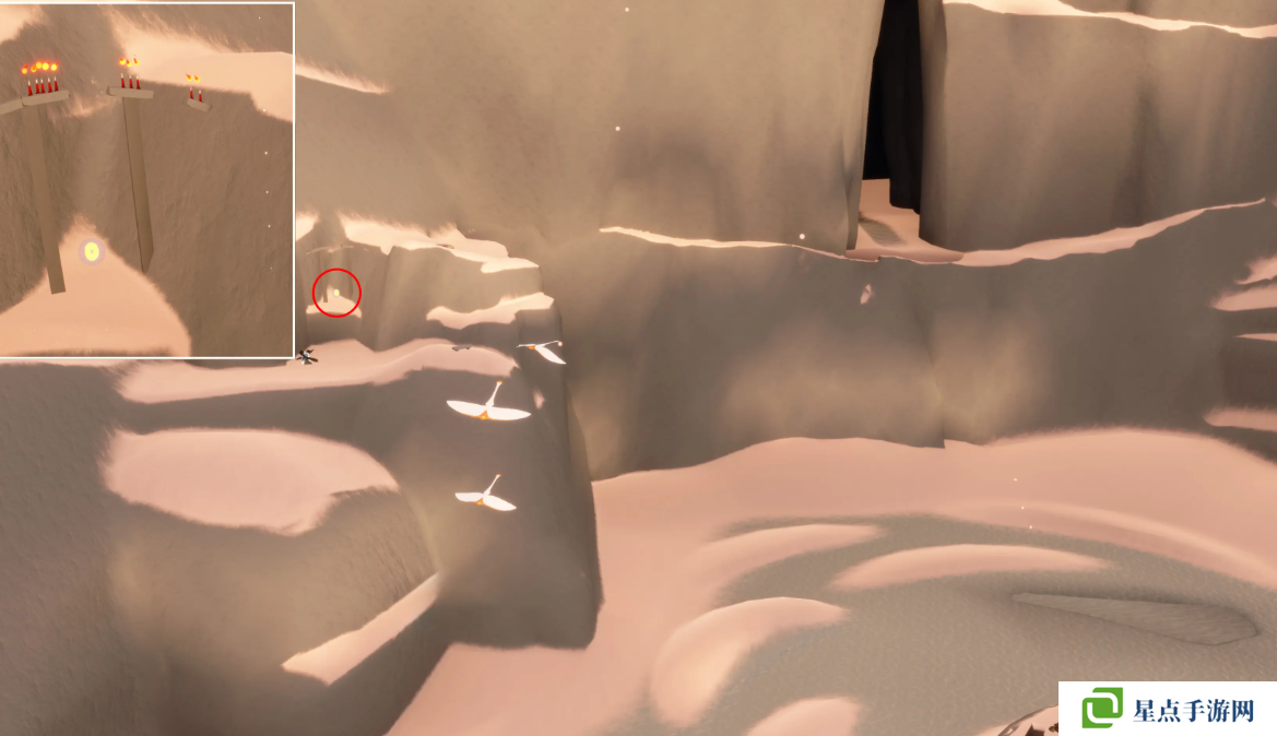 光遇2.5铜板代币在哪里 光遇2月5日春节代币收集攻略