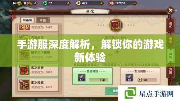 手游服深度解析,解锁你的游戏新体验 手游服深度解析,解锁你的游戏新体验