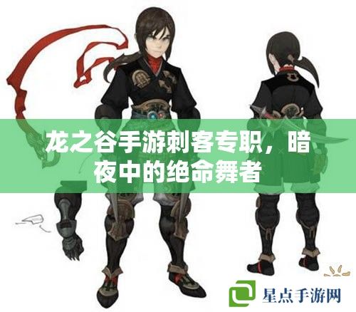 龙之谷手游刺客专职,暗夜中的绝命舞者 龙之谷手游刺客专职,暗夜中的绝命舞者