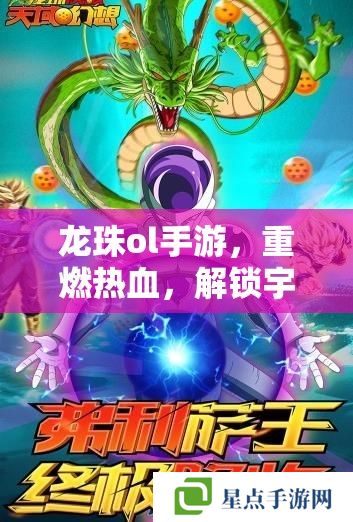 龙珠ol手游,重燃热血,解锁宇宙最强战士的终极攻略 龙珠ol手游,重燃热血,解锁宇宙最强战士的终极攻略