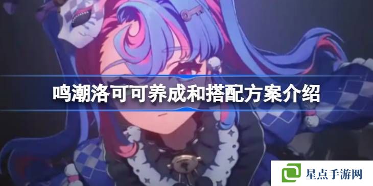 鸣潮洛可可培养攻略 洛可可如何养成搭配[多图]图片1