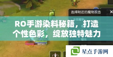 RO手游染料秘籍，打造个性色彩，绽放独特魅力