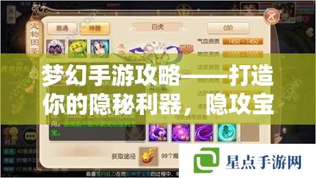 梦幻手游攻略——打造你的隐秘利器,隐攻宝宝的全面解析 梦幻手游攻略——打造你的隐秘利器,隐攻宝宝的全面解析