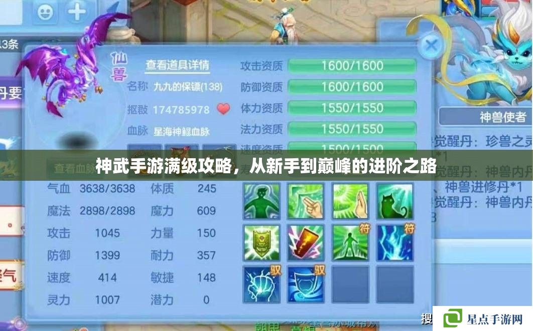 神武手游满级攻略,从新手到巅峰的进阶之路 神武手游满级攻略,从新手到巅峰的进阶之路