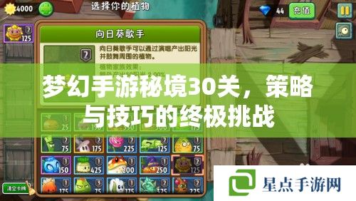 梦幻手游秘境30关,策略与技巧的终极挑战 梦幻手游秘境30关,策略与技巧的终极挑战