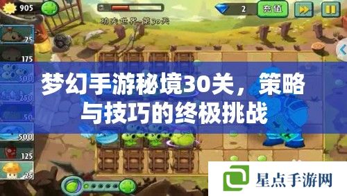 梦幻手游秘境30关,策略与技巧的终极挑战 梦幻手游秘境30关,策略与技巧的终极挑战