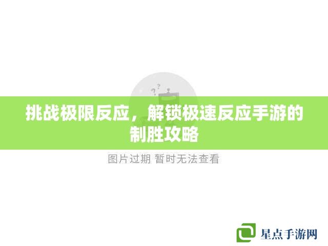 挑战极限反应,解锁极速反应手游的制胜攻略 挑战极限反应,解锁极速反应手游的制胜攻略