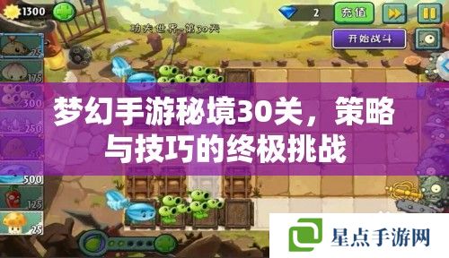 梦幻手游秘境30关,策略与技巧的终极挑战 梦幻手游秘境30关,策略与技巧的终极挑战