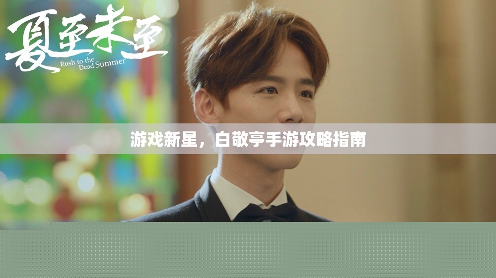 游戏新星,白敬亭手游攻略指南 游戏新星,白敬亭手游攻略指南