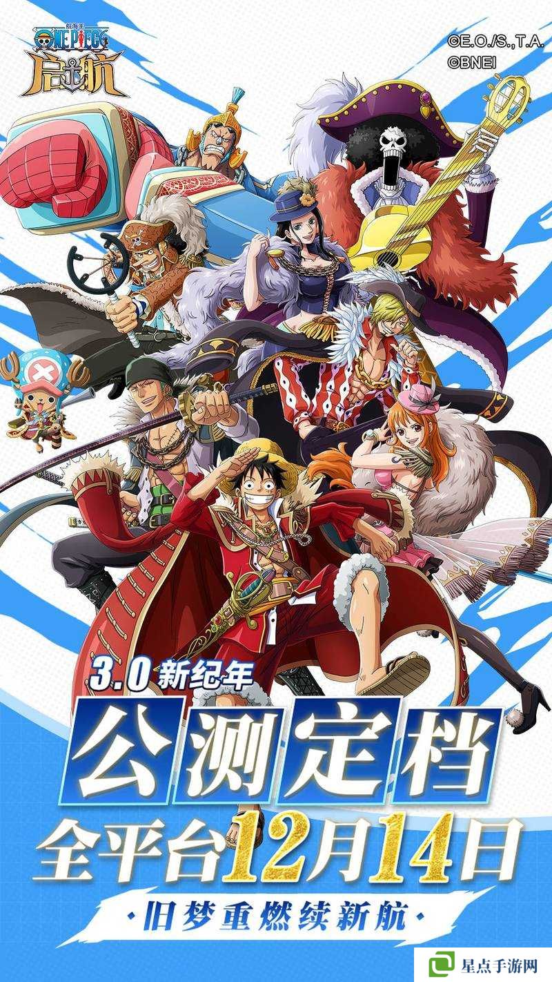 航海王启航,伙伴选择与战斗策略的深度剖析