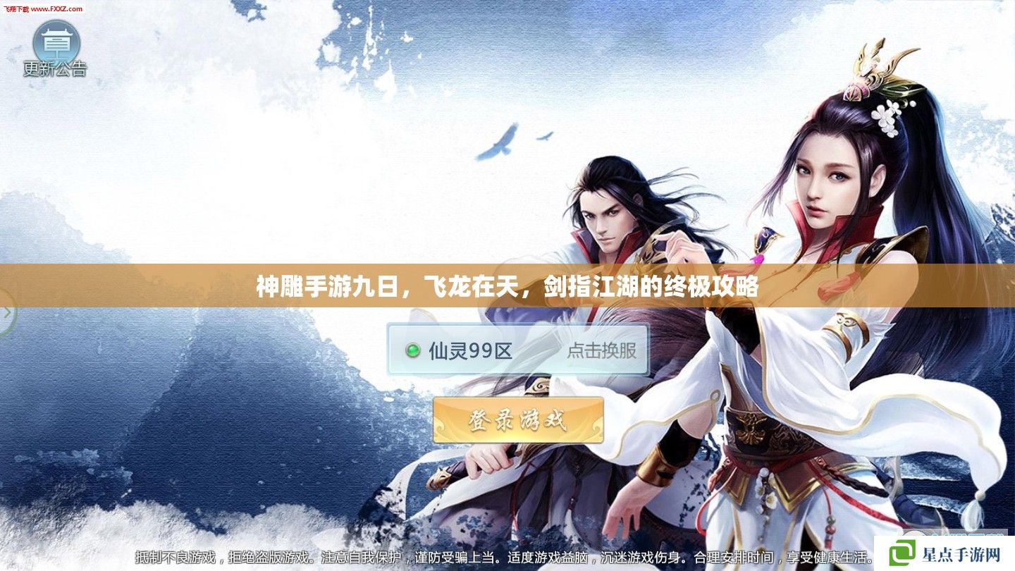 神雕手游九日,飞龙在天,剑指江湖的终极攻略 神雕手游九日,飞龙在天,剑指江湖的终极攻略