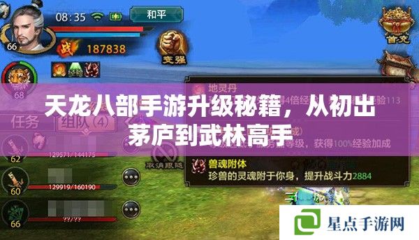 天龙八部手游升级秘籍,从初出茅庐到武林高手 天龙八部手游升级秘籍,从初出茅庐到武林高手