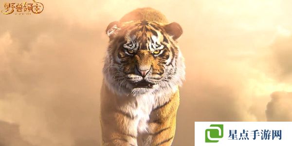 野兽领主新世界阵容搭配推荐