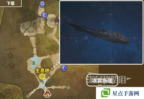 怪物猎人荒野带卵弓鳍鱼不咬钩怎么办 带卵弓鳍鱼用什么饵?图片1