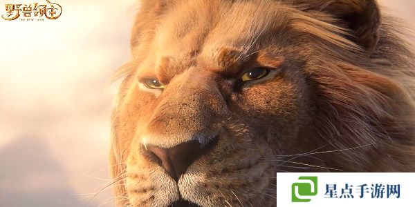 野兽领主新世界阵容搭配推荐