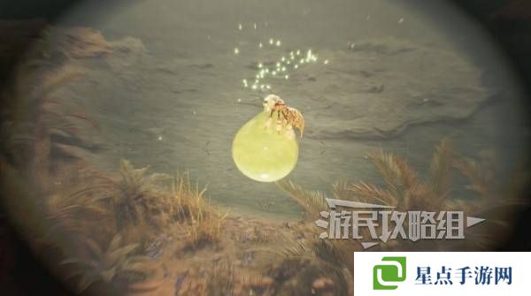 怪物猎人荒野大回复蜜虫位置在哪 大回复蜜虫捕获路线图片5