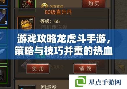 游戏攻略龙虎斗手游，策略与技巧并重的热血对决