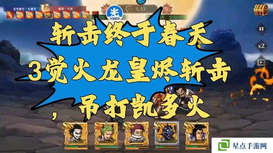 航海王启航，怎样选择伙伴？从角色品质及属性分析的策略探讨