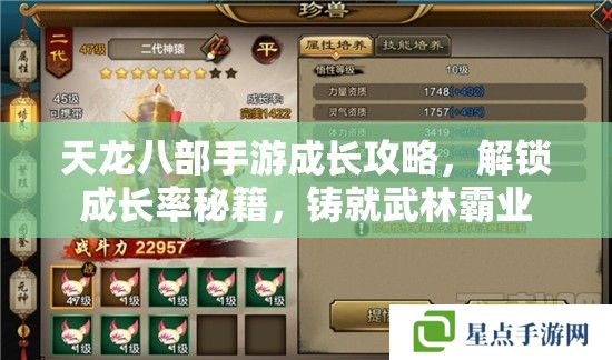 天龙八部手游成长攻略，解锁成长率秘籍，铸就武林霸业