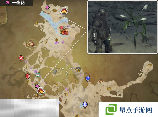 怪物猎人荒野一夜花的月华粉位置及获取方法 一夜花的月华粉在哪