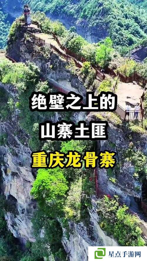 怪物猎人崛起坚龙骨获取攻略