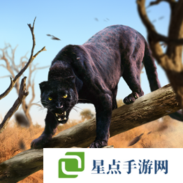 野兽领主新世界异兽排行