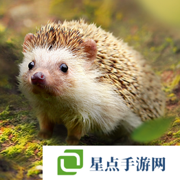 野兽领主新世界异兽排行