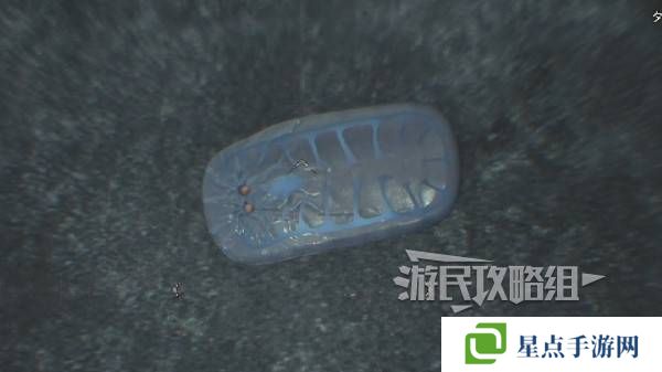 怪物猎人荒野大虚无动在哪捕获    大虚无动捕获攻略图片8