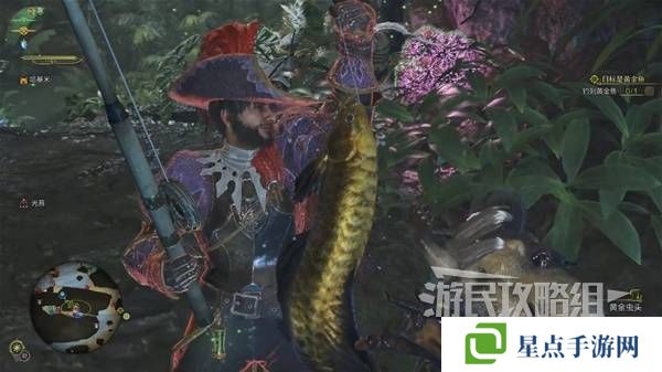 怪物猎人荒野黄金鱼怎么钓    钓黄金鱼位置一览图片6