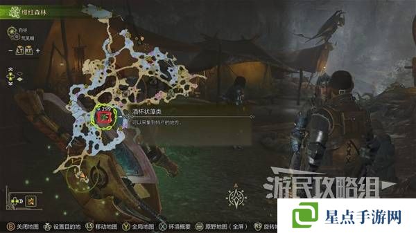 怪物猎人荒野黄金鱼怎么钓    钓黄金鱼位置一览图片3