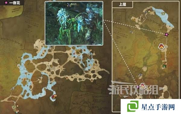 怪物猎人荒野一夜花的月华粉位置及获取途径一览图片4