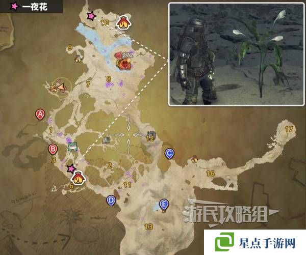 怪物猎人荒野一夜花的月华粉位置及获取途径一览图片3