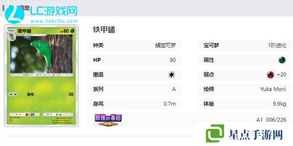 宝可梦TCG Pocket卡牌图鉴