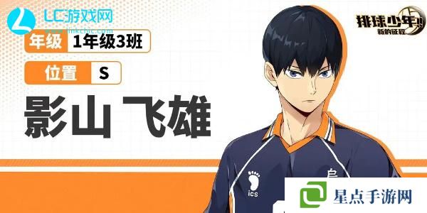 排球少年新的征程角色推荐