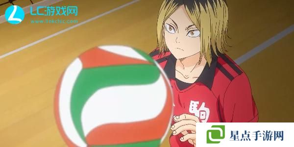排球少年新的征程角色推荐