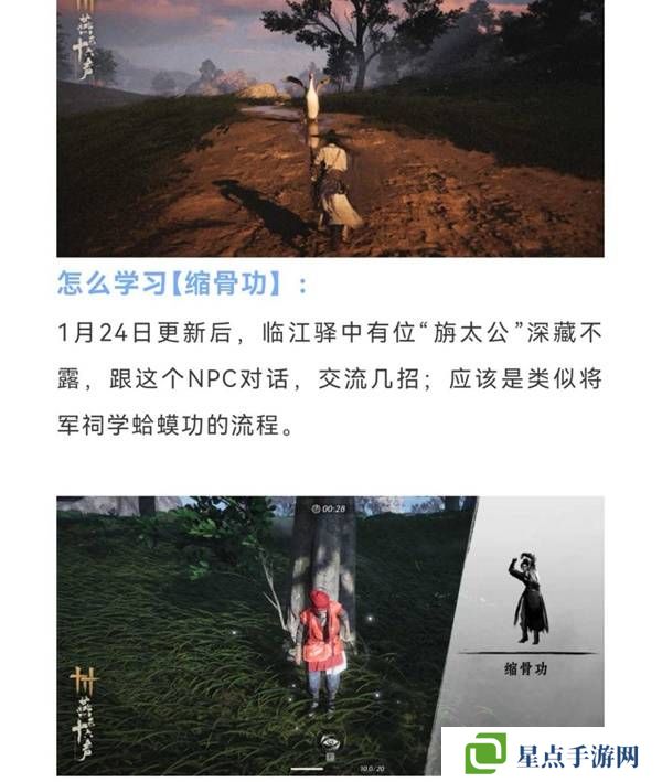 燕云十六声缩骨功在哪    缩骨功获得攻略图片2